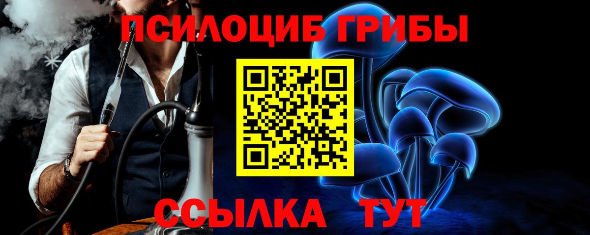 Дивногорск  Галлюциногенные грибы Magic Shrooms  Вход с VPN 